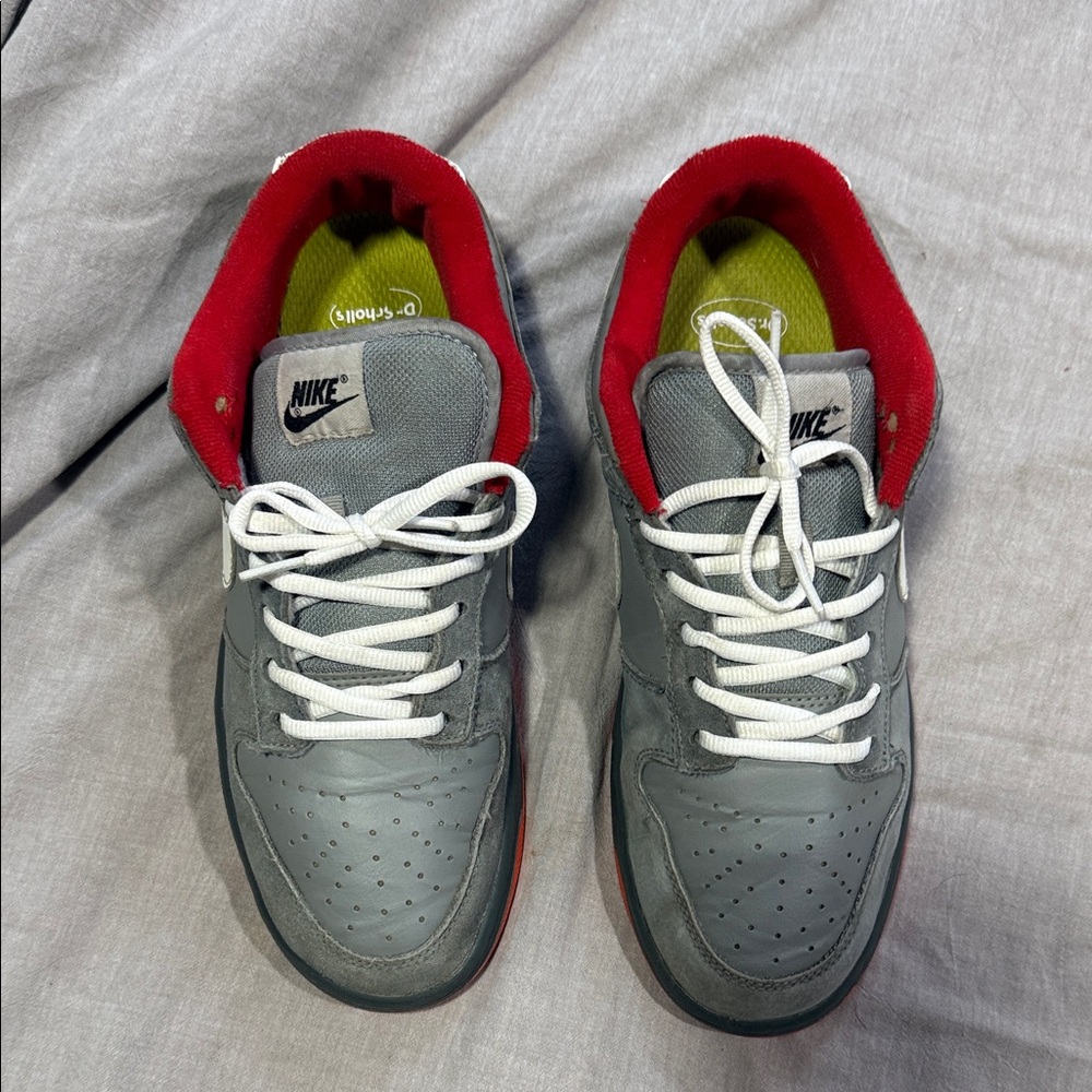 Nike Pigeon SB Dunks